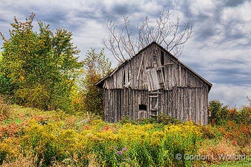 Old Barn Among Weeds_16556-7.jpg - Photographed near Westport, Ontario, Canada.